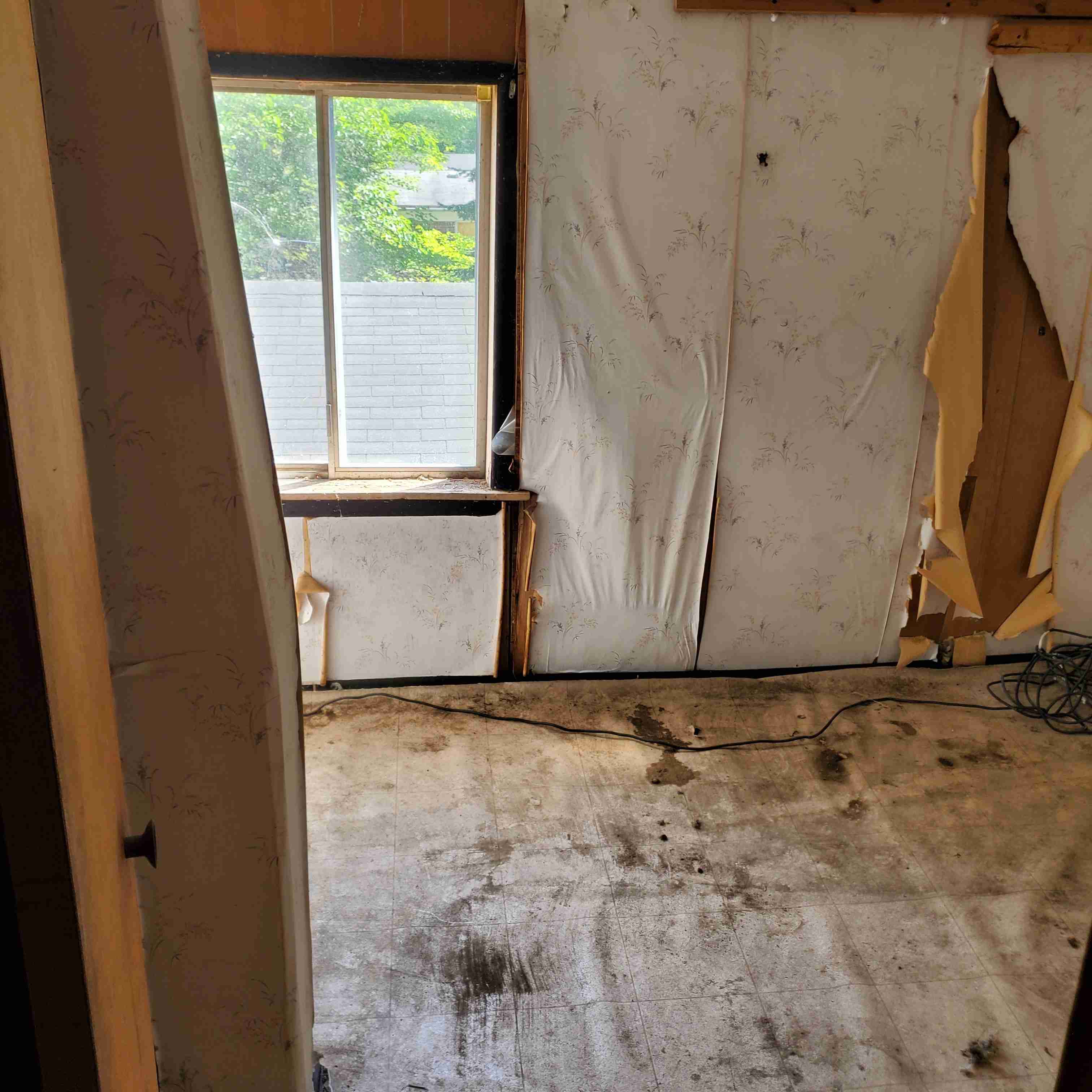 20200812_152541 (2).jpg